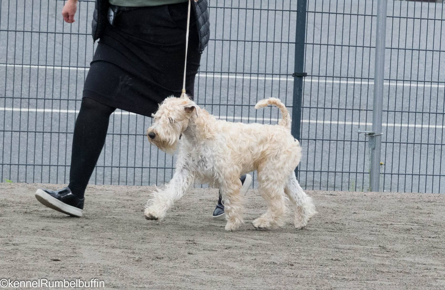 R. Fairy Godmother Merryweather "Hilma"